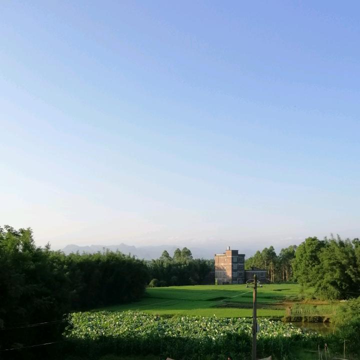 麦浪