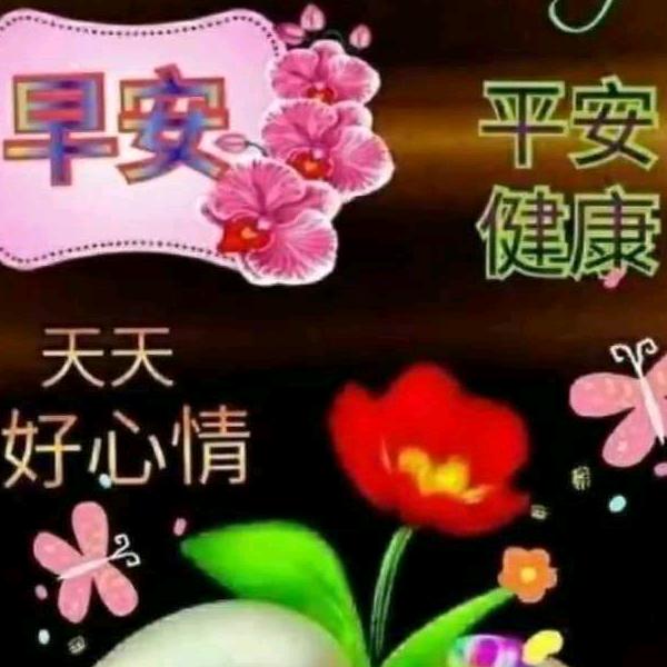 香香公主.w5858