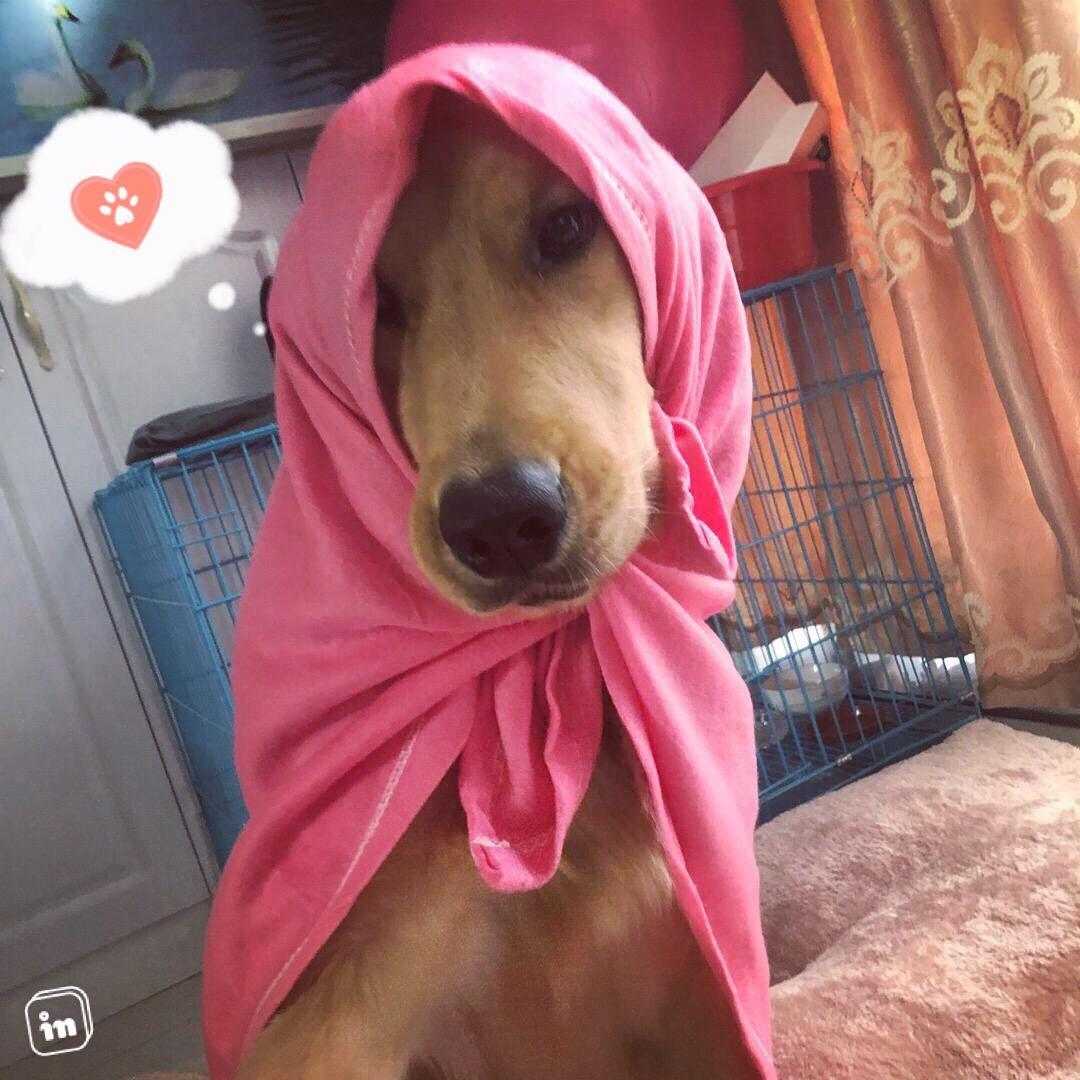 糖糖糖老板@抖音