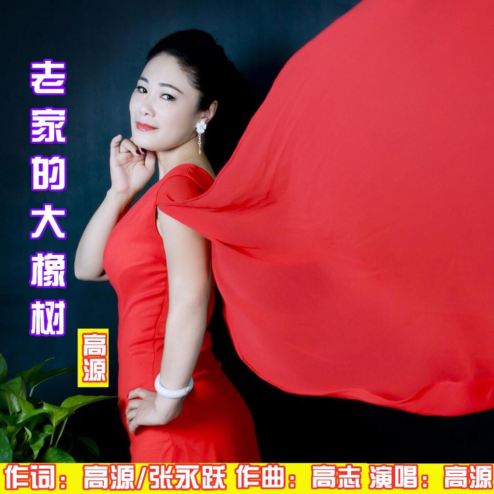 高源