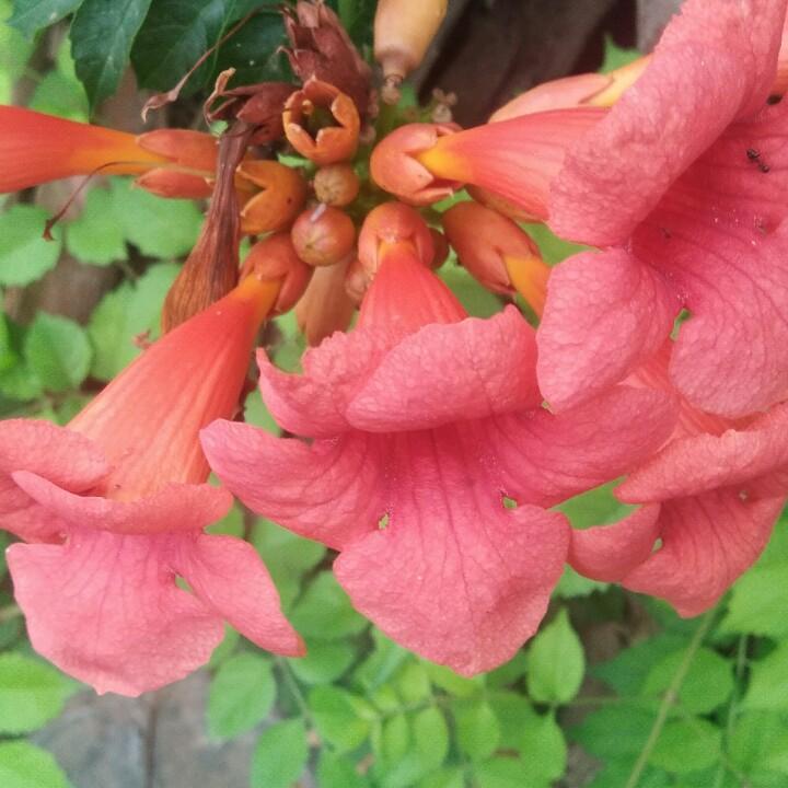 一生平安
