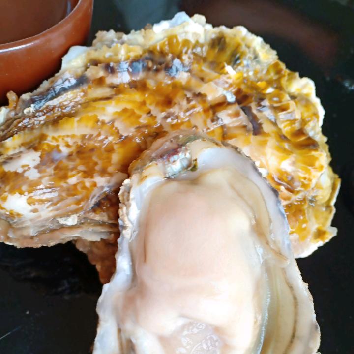 宏利达生鲜
