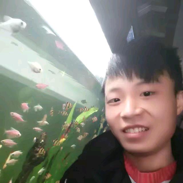宜兴可丽爱水族馆