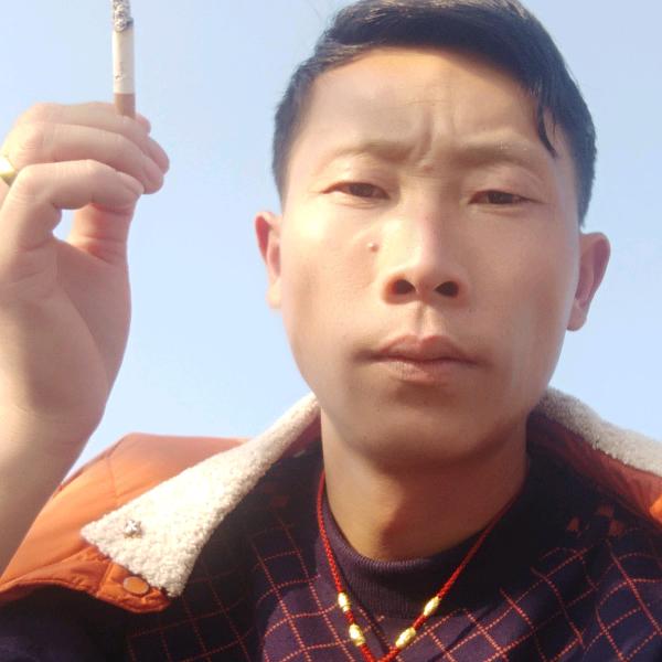 侯华勇绿化