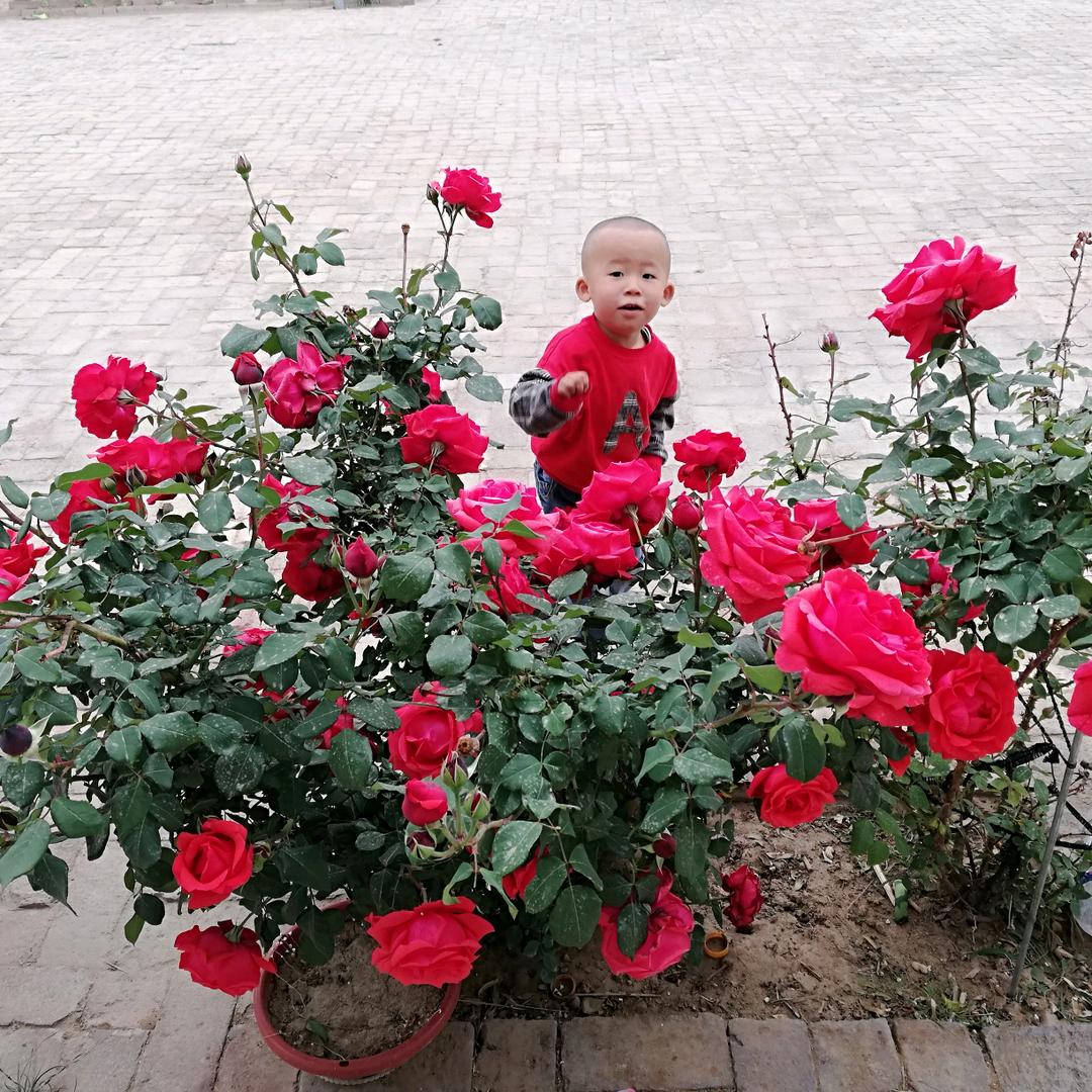 ℳღ傲性᭄ꦿ꯭꯭小仙女ঞৣঁপ᭄᪲ℳ