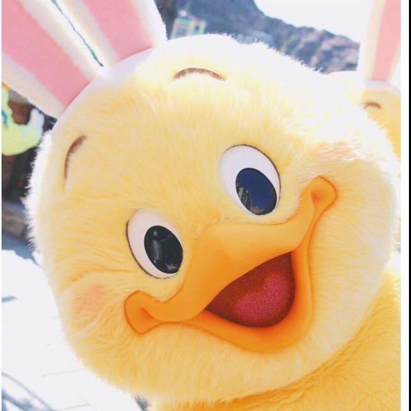 晓姑娘的朋友圈