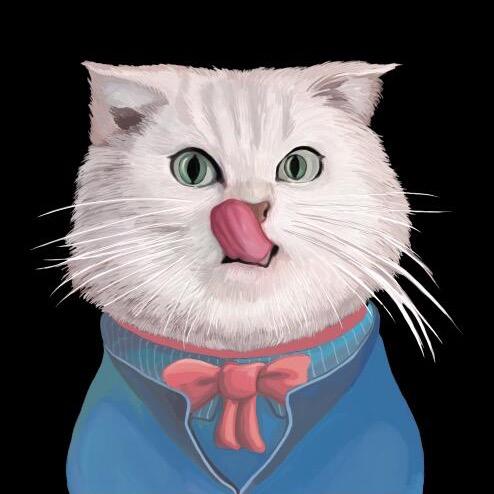 开挂猫咪秀@抖音