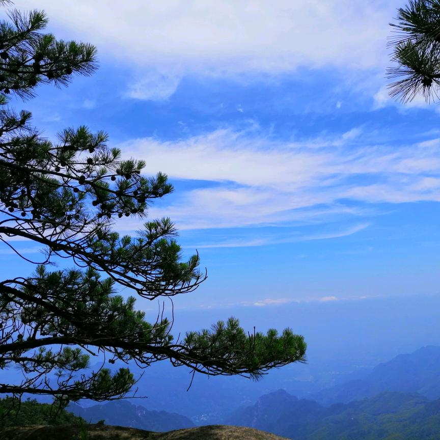 学安/烟酒商行/贝壳房产
