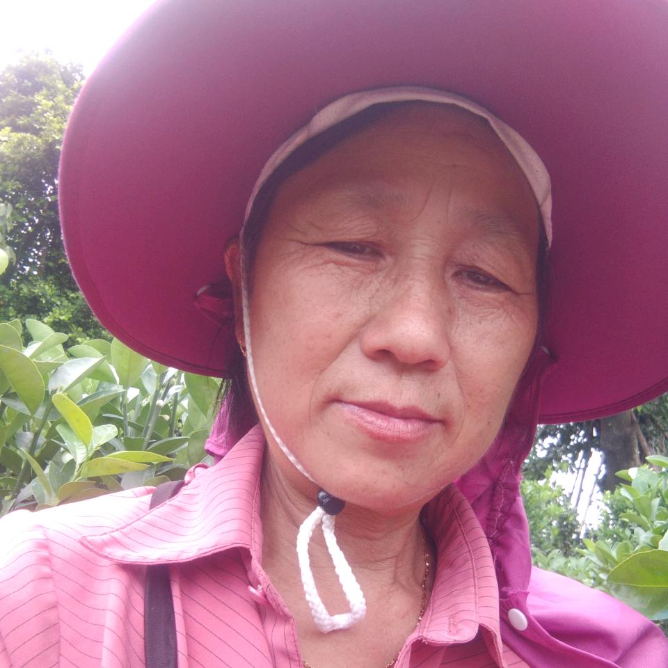 杨丁丁