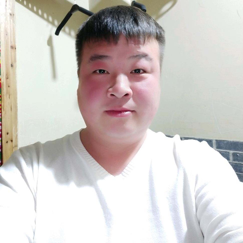A猛虎行天下
