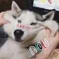 🔥A2罗本⁶⁸¹