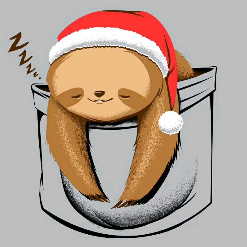 杭州树懒音乐 | 专业15年经营一家店