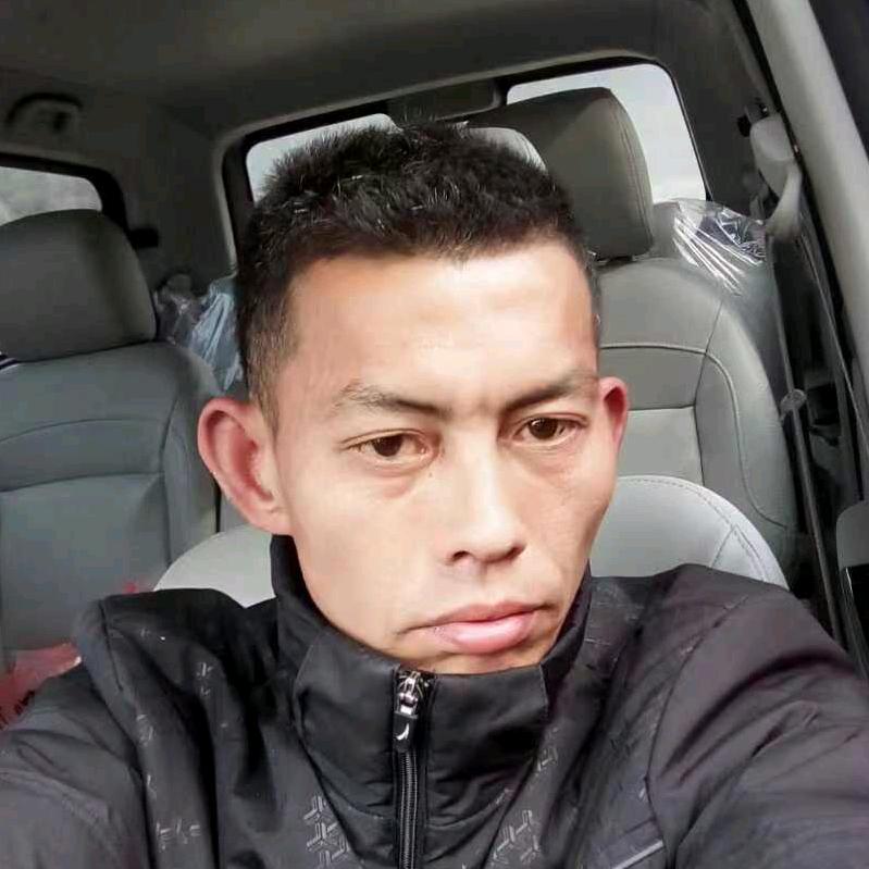 鸿运常伴