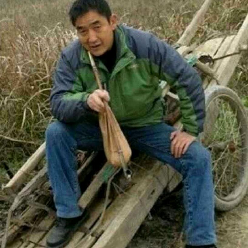 自由疯