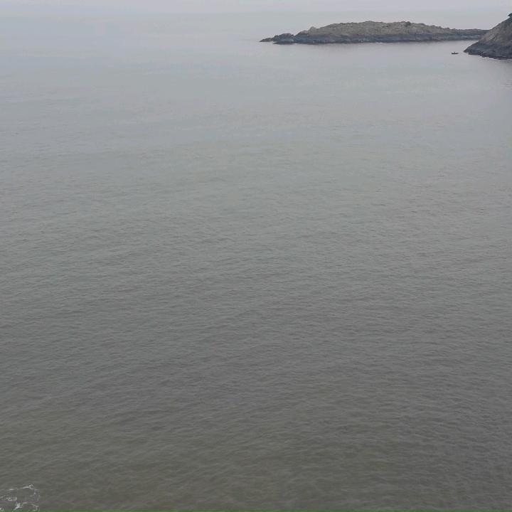 安静的离去