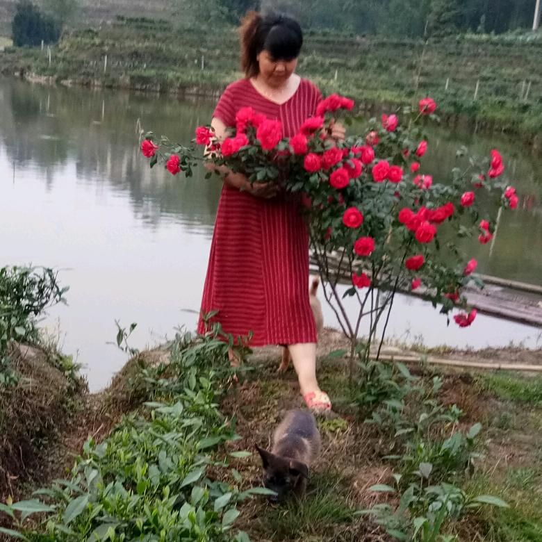 陈老五