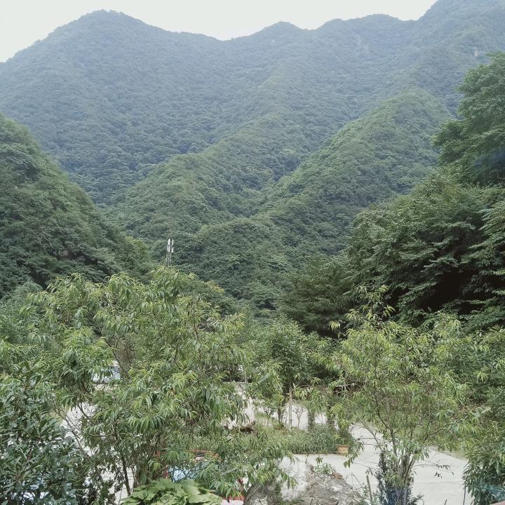 专业混凝土销售