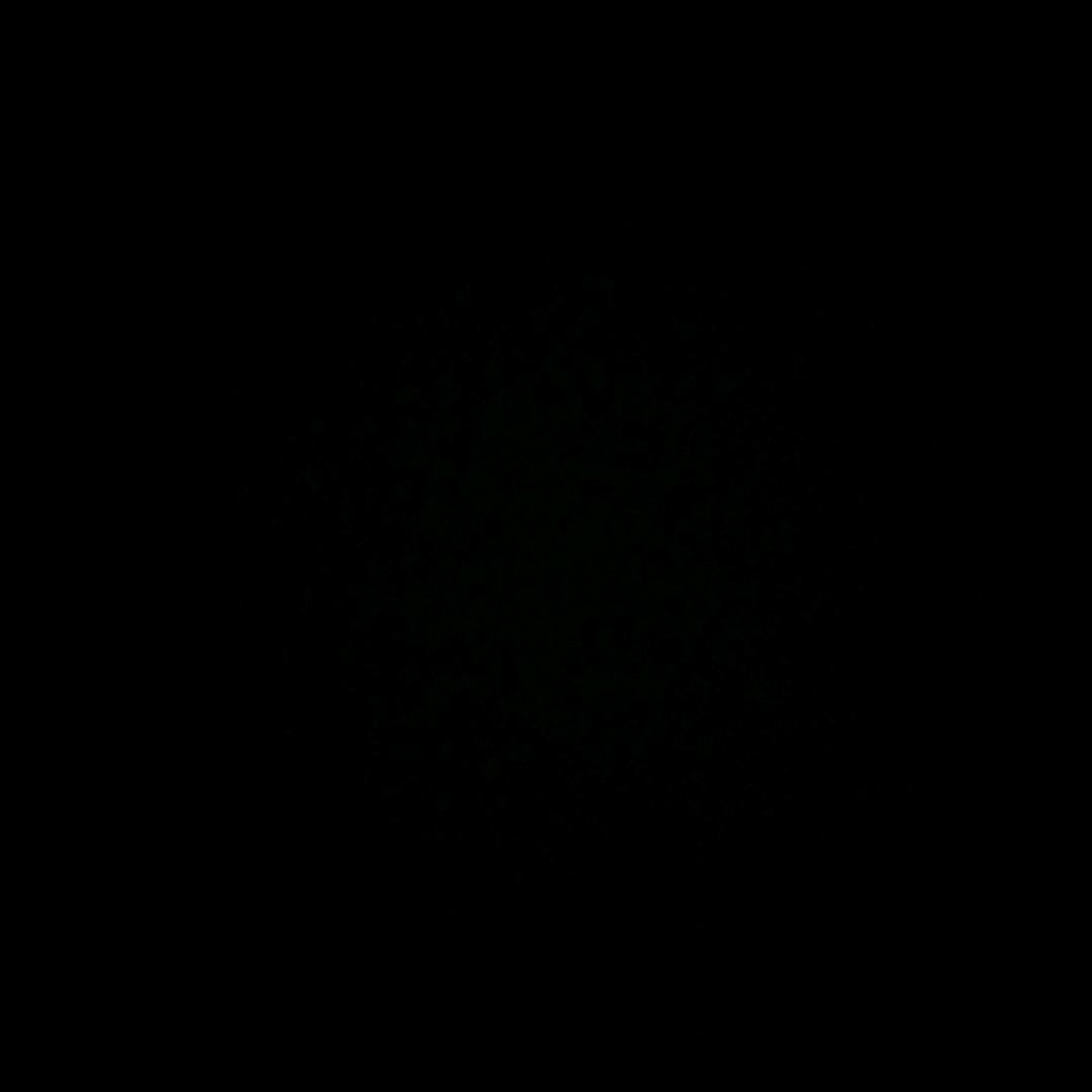 zyzyj
