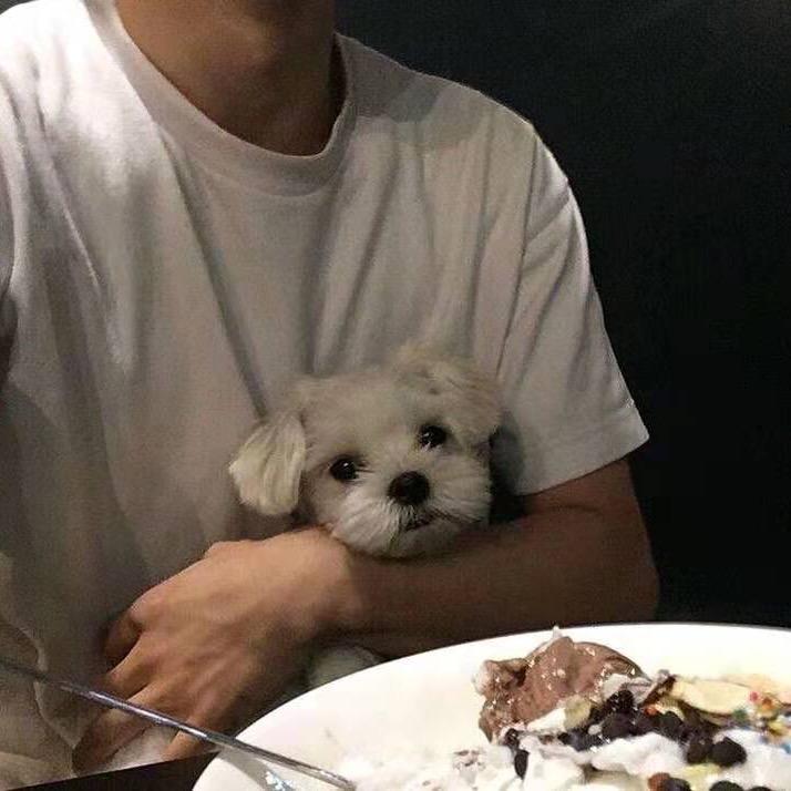 圣凯洛系统门窗王凯
