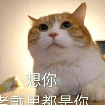 柔情之恋🌹🌹🌹