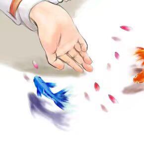 —═┳鸢┻═一