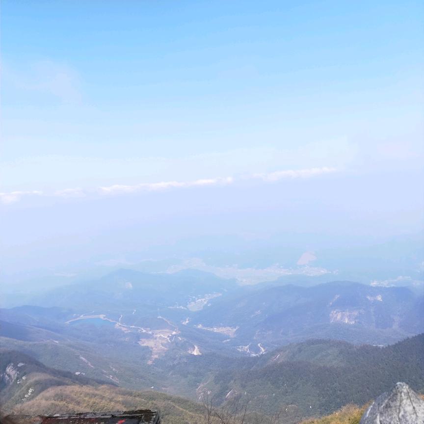 大赢家