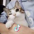 疼先生