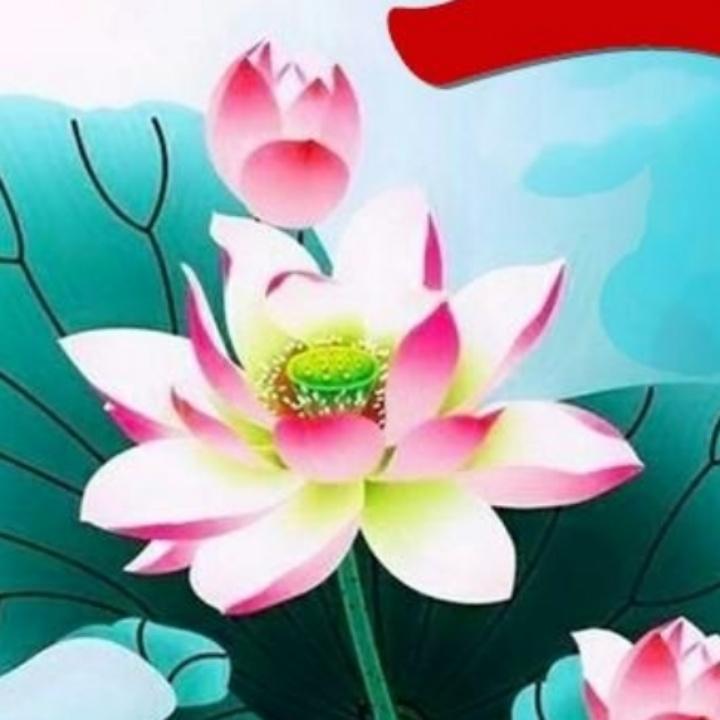 用户定水西河坝