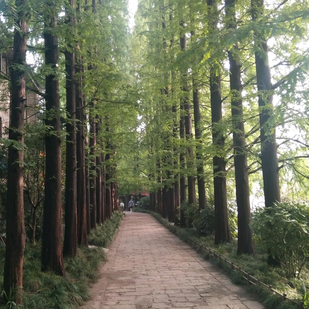 我是谁598