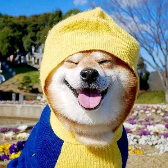 聆听