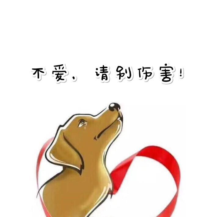 松城小爱