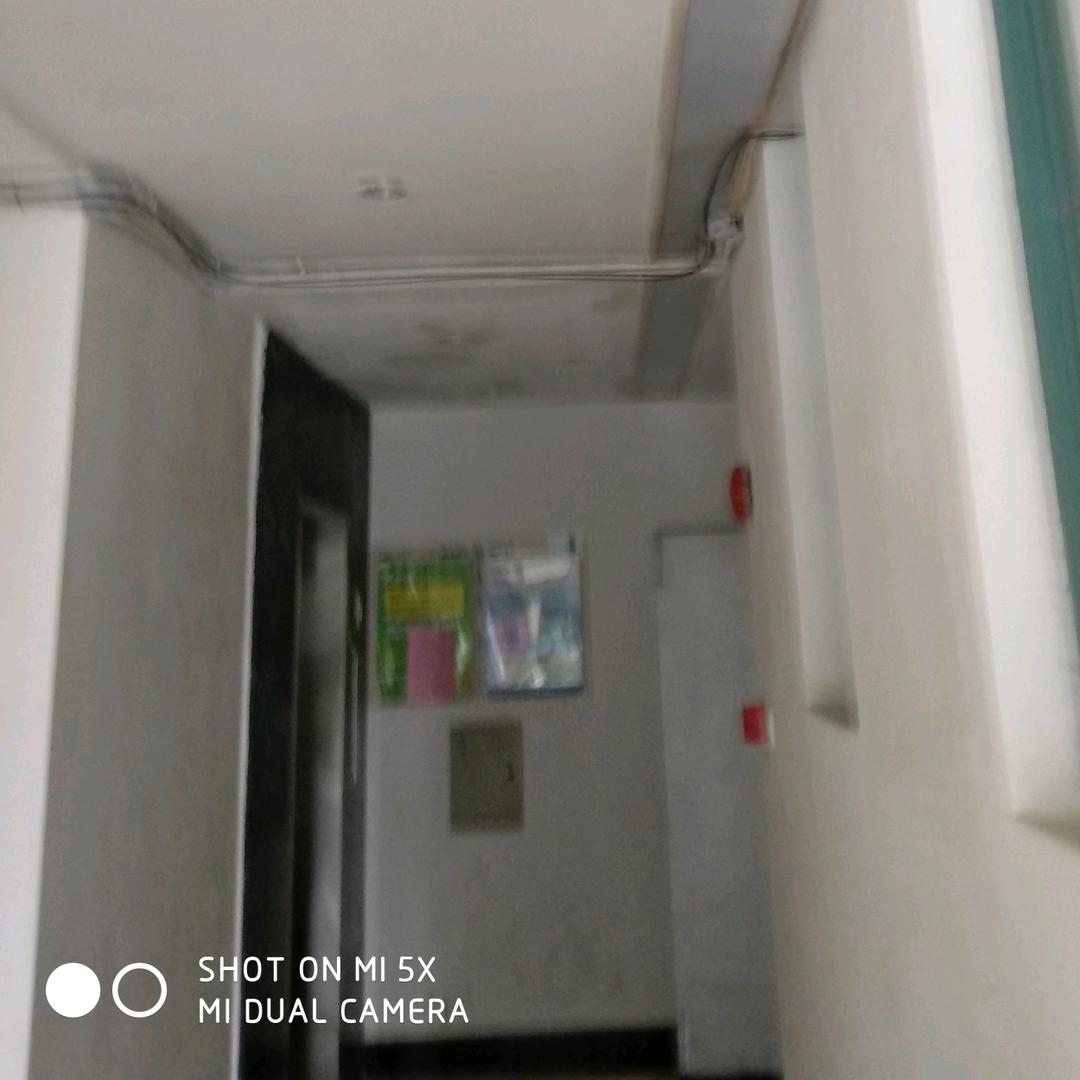 姆追