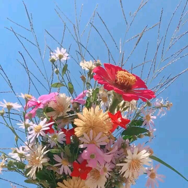 一缕阳光☀