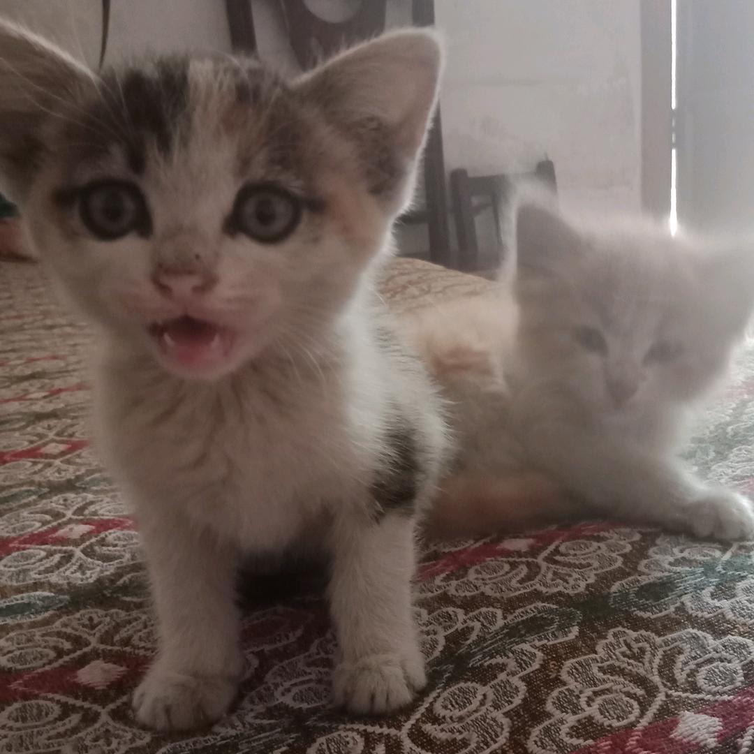 鞋衣升.洗衣洗鞋阳光地带.司徒店