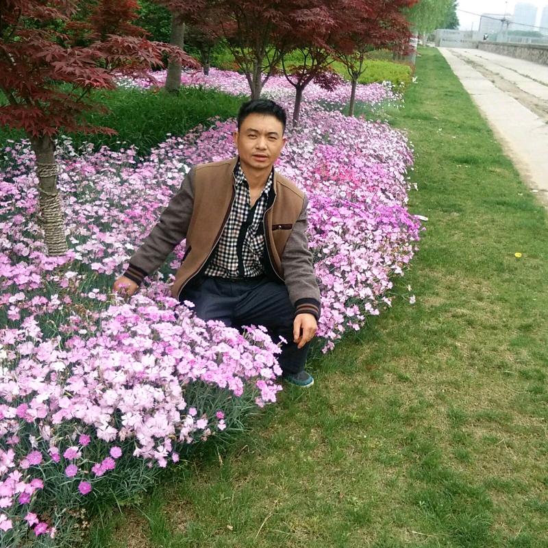 开开心心过好每一天