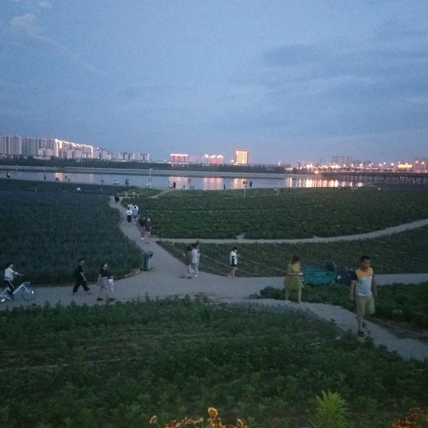 五岳