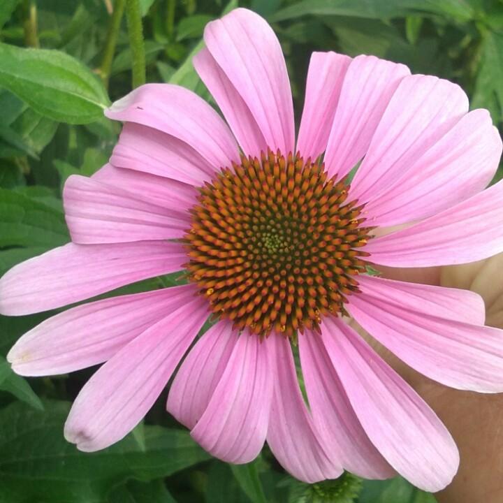 幸福一生😊