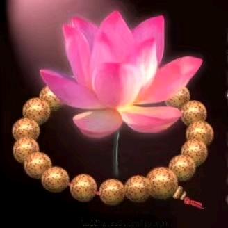 金坤板材主理人