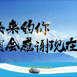 金帛TR纬弹四面弹