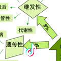 沐沐