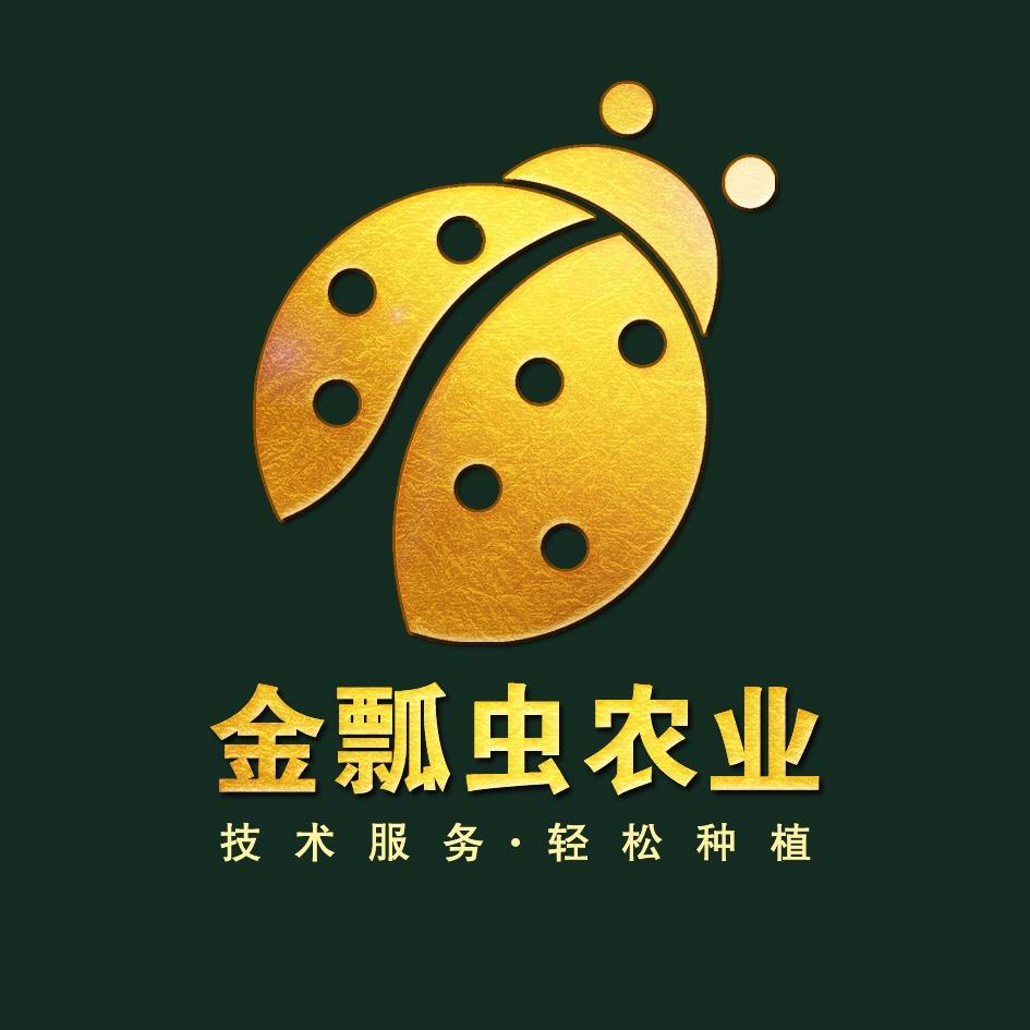 金瓢虫农业～尹超