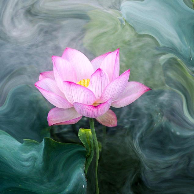 流泪de天使