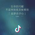 那就这样吧！