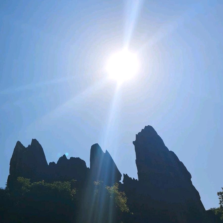 一日之计在于陈 先生