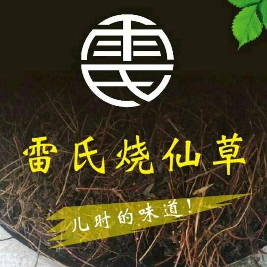 龙岩雷氏仙草