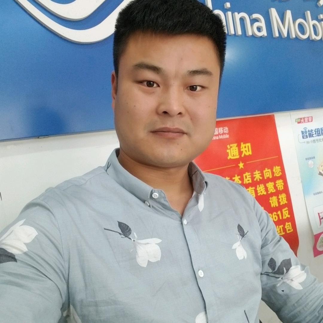 小马过河