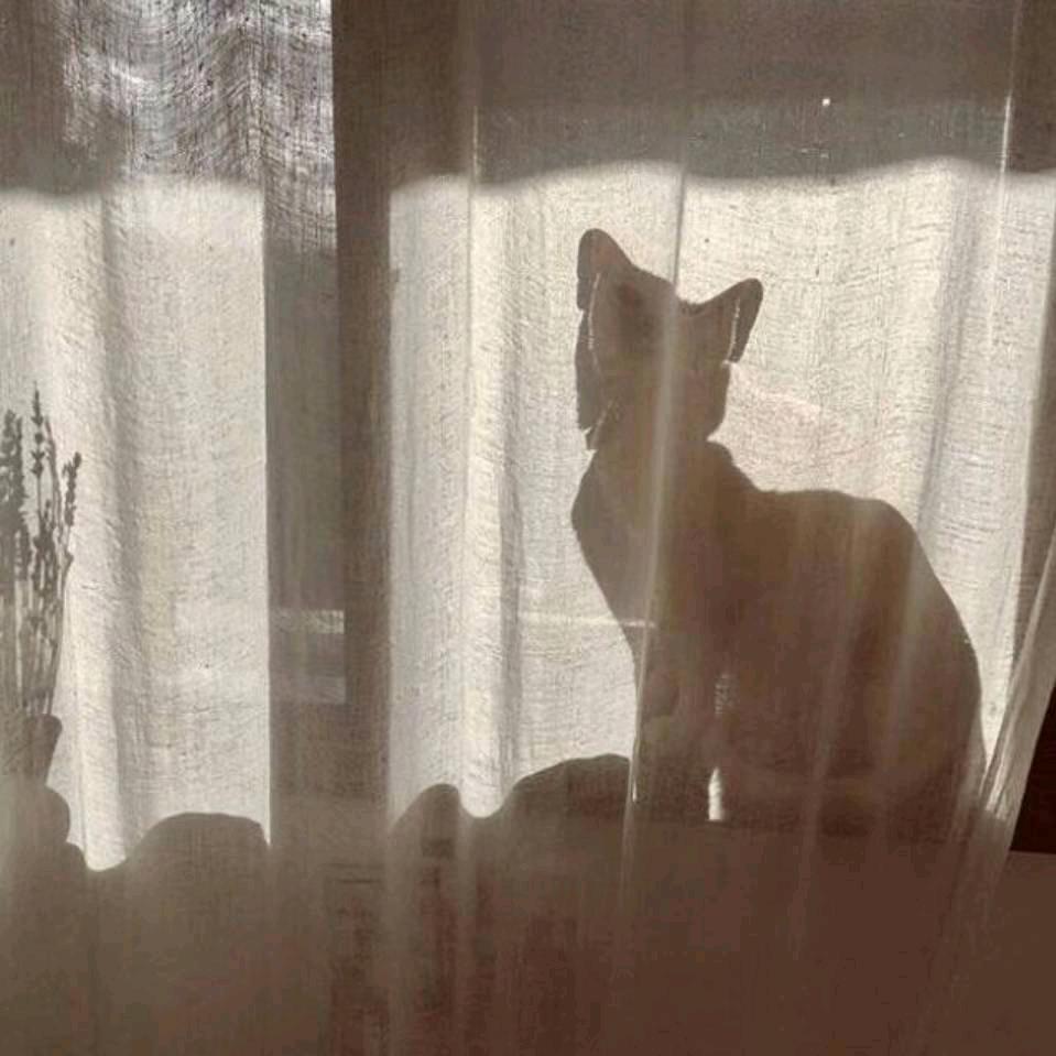 左耳三点文