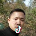 皮哥