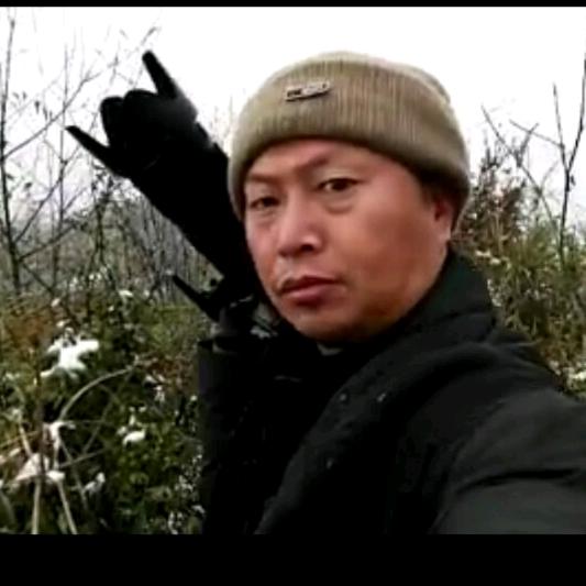 老左游走的记忆
