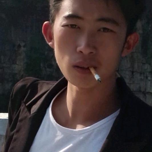 偏偏喜欢李